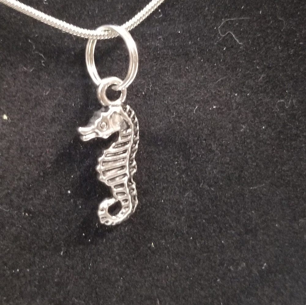 Sea horse